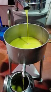 OLIO , Biologico: l’arte del rispetto