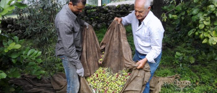 , i giardini dell'anapo, azienda agricola biologica