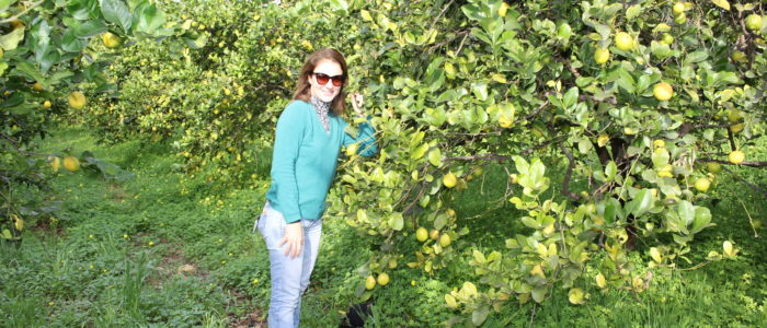 , i giardini dell'anapo, azienda agricola biologica